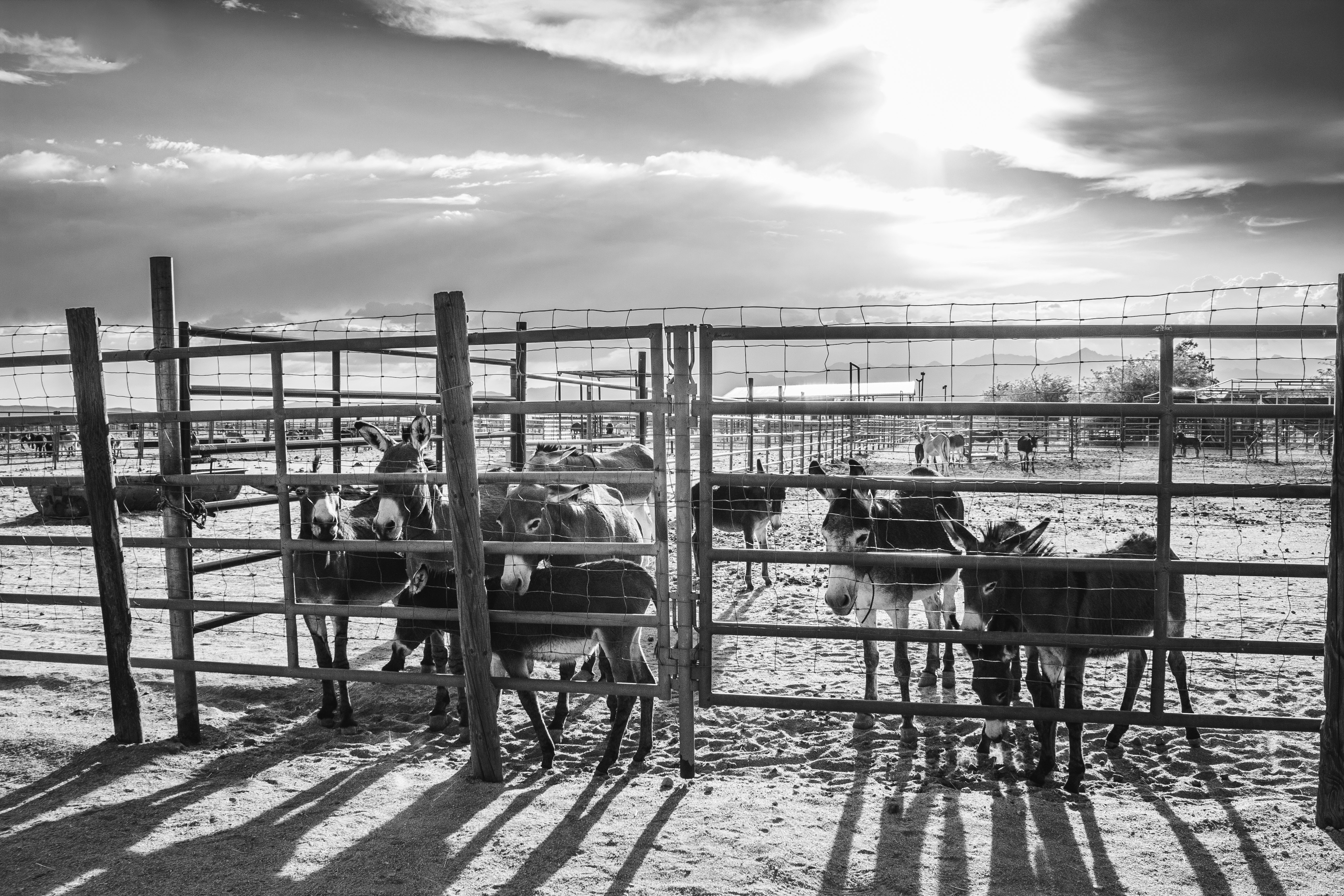 grayscale photo of people sitting on chairs